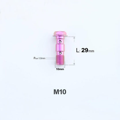 M10 x 29mm Titanium Dual Hole Banjo Bolt (P1.0 / P1.25)