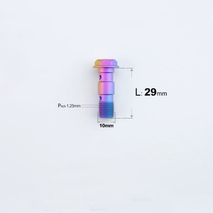 M10 x 29mm Titanium Dual Hole Banjo Bolt (P1.0 / P1.25)