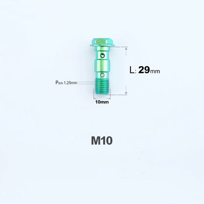 M10 x 29mm Titanium Dual Hole Banjo Bolt (P1.0 / P1.25)