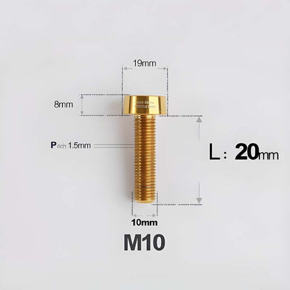 M10xL20-70mm TI 1.5mm Thread Security Bolt for Brembo Caliper Mounting D19