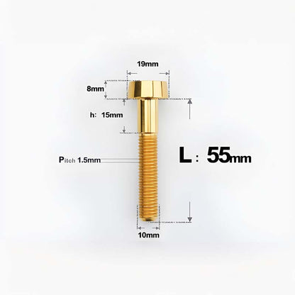 M10xL20-70mm TI 1.5mm Thread Security Bolt for Brembo Caliper Mounting D19