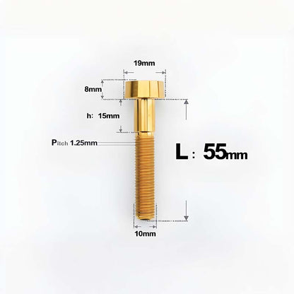 M10xL20-80mm Titanium 1.25mm Thread Security Bolt for Brembo Caliper Mounting D19