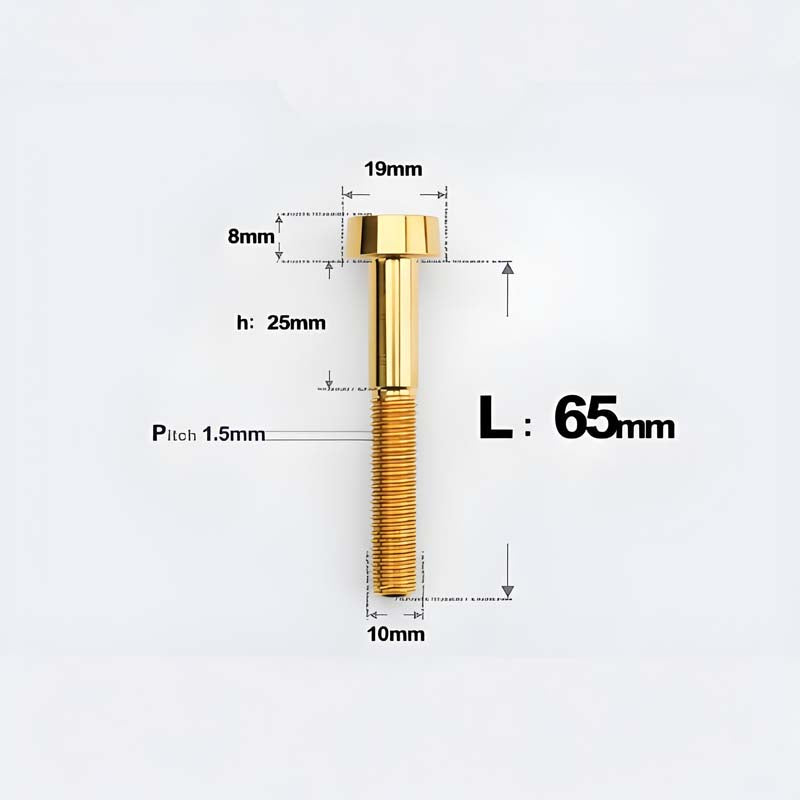 M10xL20-70mm TI 1.5mm Thread Security Bolt for Brembo Caliper Mounting D19