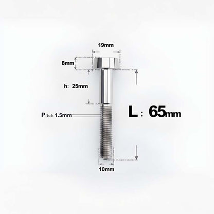 M10xL20-70mm TI 1.5mm Thread Security Bolt for Brembo Caliper Mounting D19