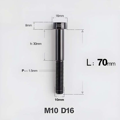 M10xL20-80mm Titanium 1.5mm Thread Security Bolt for Brembo Caliper Mounting D16