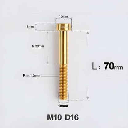 M10xL20-80mm Titanium 1.5mm Thread Security Bolt for Brembo Caliper Mounting D16