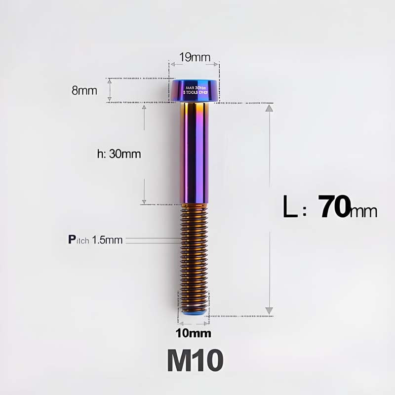 M10xL20-70mm TI 1.5mm Thread Security Bolt for Brembo Caliper Mounting D19