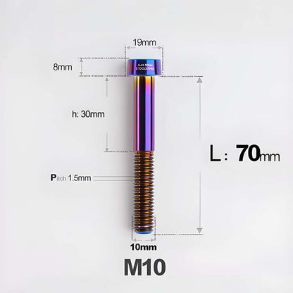 M10xL20-70mm TI 1.5mm Thread Security Bolt for Brembo Caliper Mounting D19