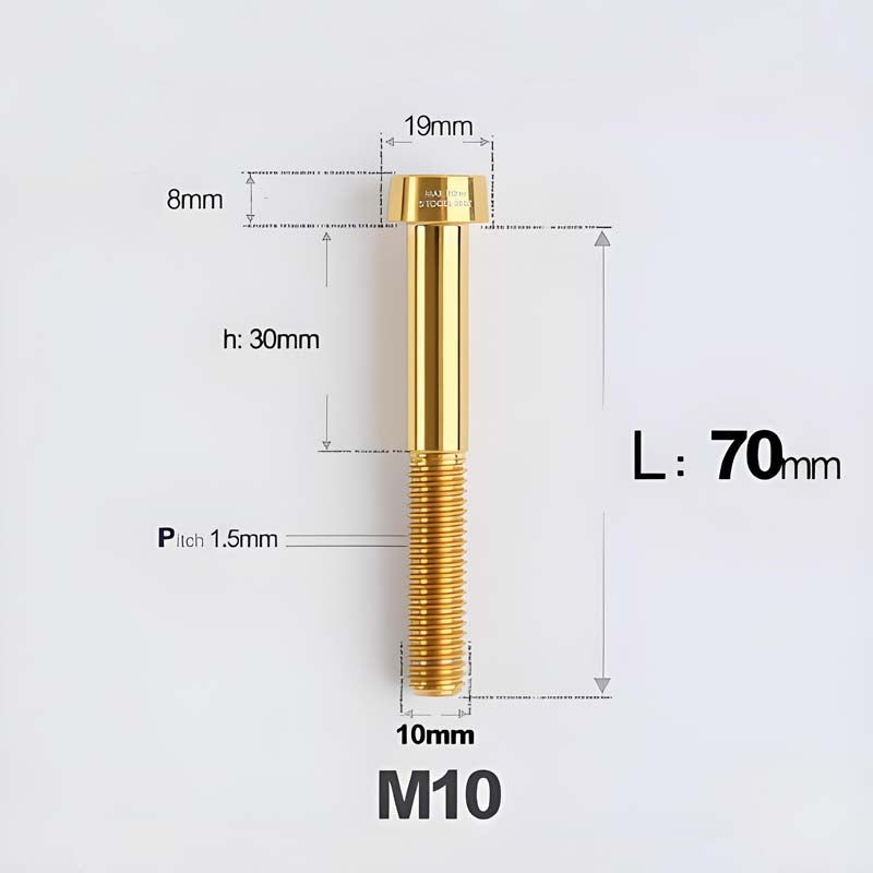 M10xL20-70mm TI 1.5mm Thread Security Bolt for Brembo Caliper Mounting D19
