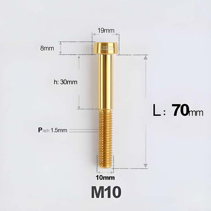 M10xL20-70mm TI 1.5mm Thread Security Bolt for Brembo Caliper Mounting D19