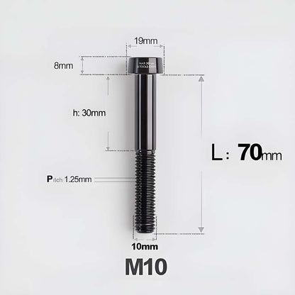 M10xL20-80mm Titanium 1.25mm Thread Security Bolt for Brembo Caliper Mounting D19