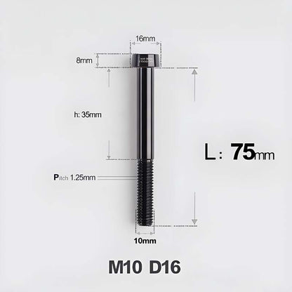 M10xL20-80mm Titanium 1.25mm Thread Security Bolt for Brembo Caliper Mounting D16