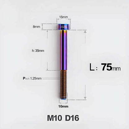 M10xL20-80mm Titanium 1.25mm Thread Security Bolt for Brembo Caliper Mounting D16