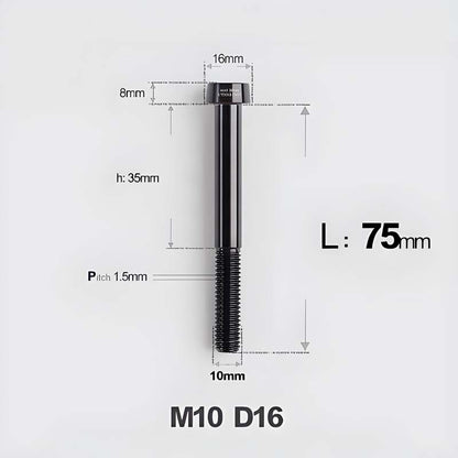 M10xL20-80mm Titanium 1.5mm Thread Security Bolt for Brembo Caliper Mounting D16