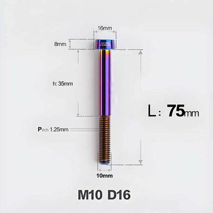 M10xL20-80mm Titanium 1.5mm Thread Security Bolt for Brembo Caliper Mounting D16