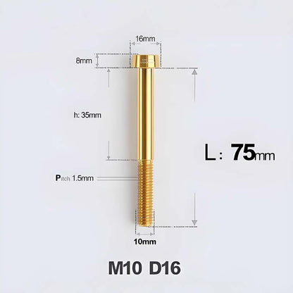 M10xL20-80mm Titanium 1.5mm Thread Security Bolt for Brembo Caliper Mounting D16