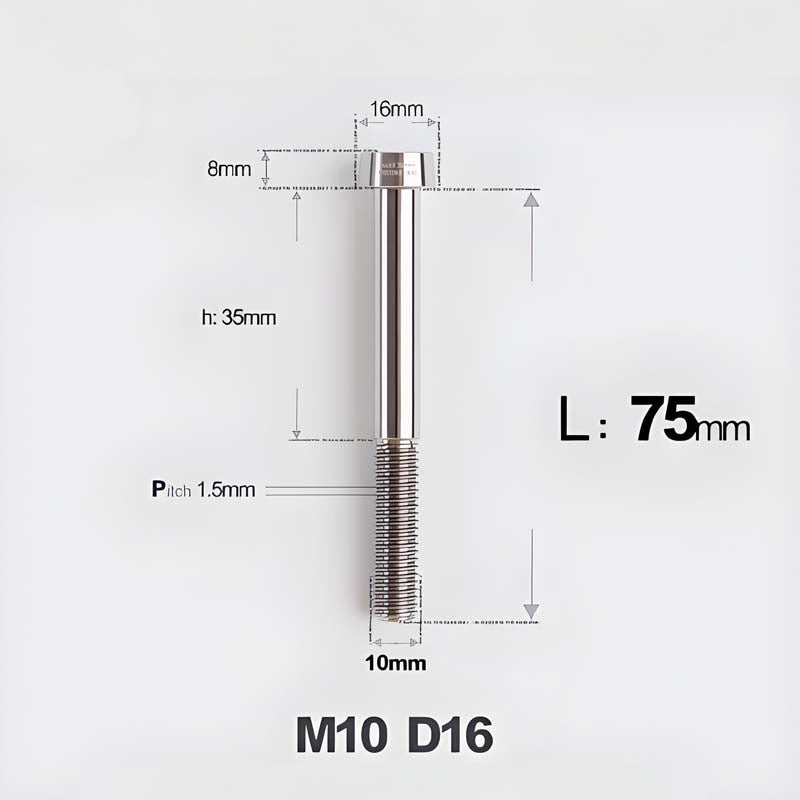 M10xL20-80mm Titanium 1.5mm Thread Security Bolt for Brembo Caliper Mounting D16