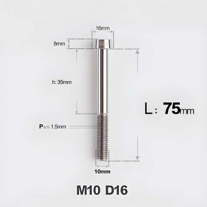 M10xL20-80mm Titanium 1.5mm Thread Security Bolt for Brembo Caliper Mounting D16