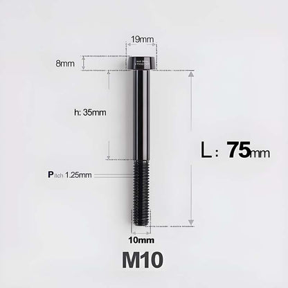M10xL20-80mm Titanium 1.25mm Thread Security Bolt for Brembo Caliper Mounting D19