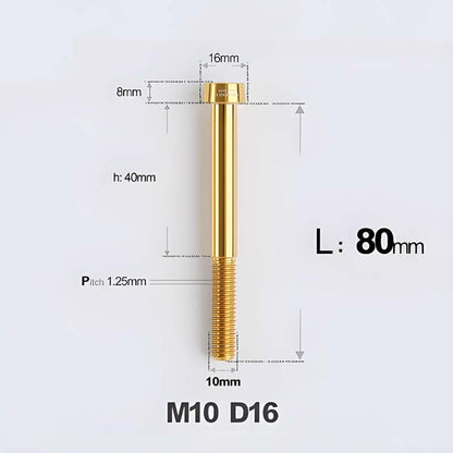 M10xL20-80mm Titanium 1.25mm Thread Security Bolt for Brembo Caliper Mounting D16