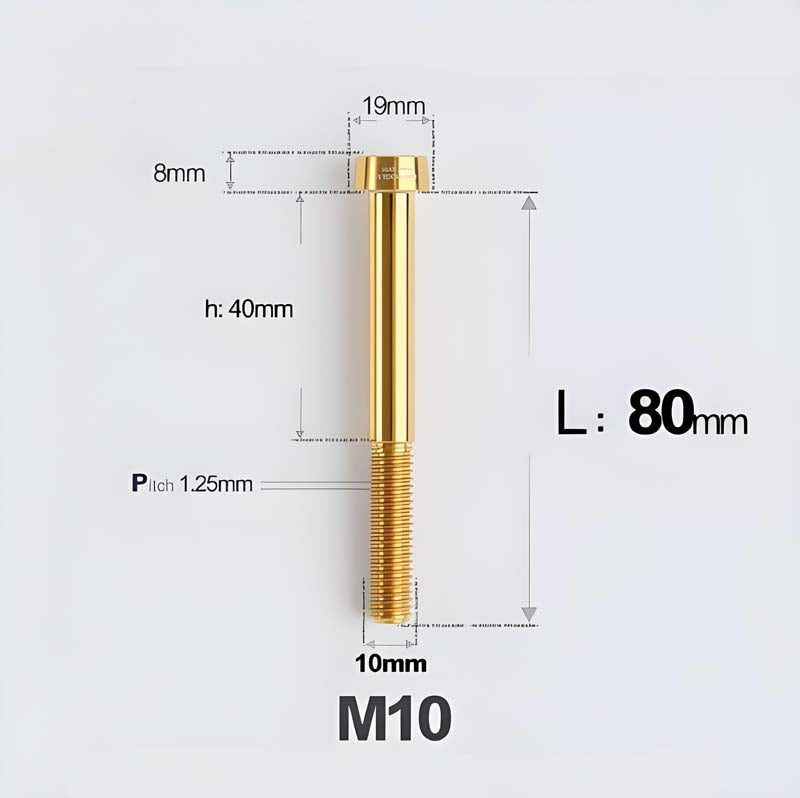 M10xL20-80mm Titanium 1.25mm Thread Security Bolt for Brembo Caliper Mounting D19