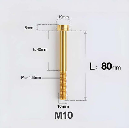 M10xL20-80mm Titanium 1.25mm Thread Security Bolt for Brembo Caliper Mounting D19