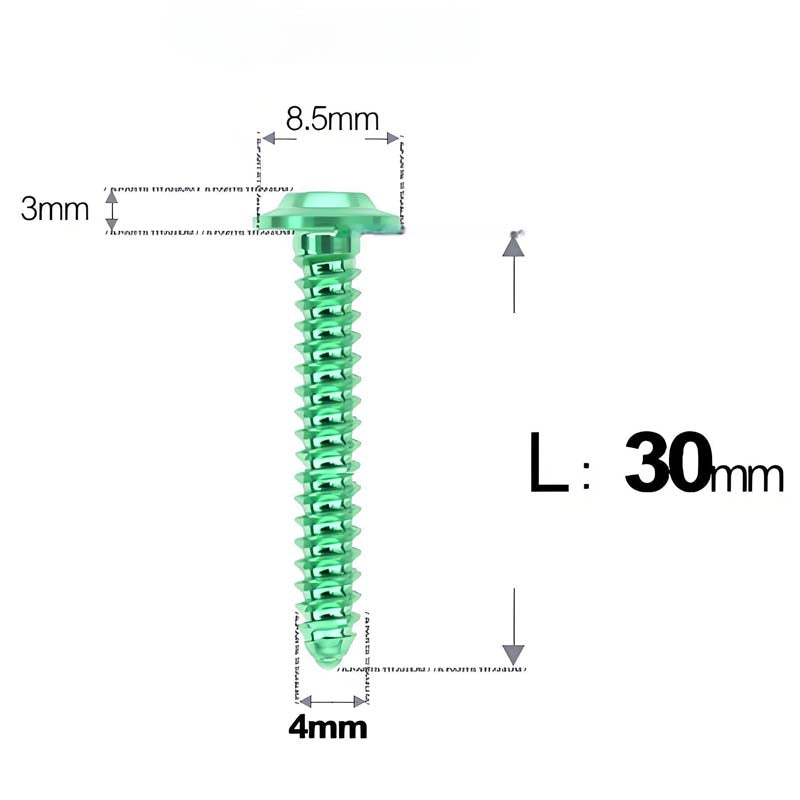 M4 X L12 - 30mm Titanium Screws For E-bike And Motorcycle Body Panels - HD8.5