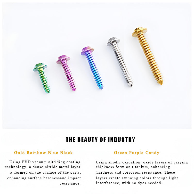 M5x12-25mm Titanium Screws For Electric Scooter & Motorcycle Body Panels-HD12