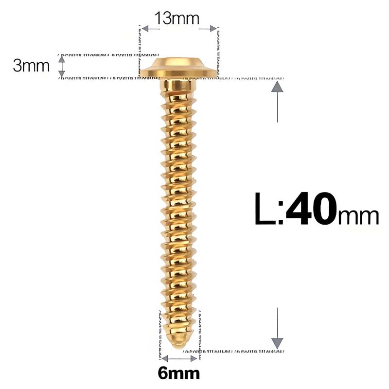 M6 X L16 - 55mm Titanium Button Head Screws For Electric Scooter & Motorcycle Body Panels-HD13
