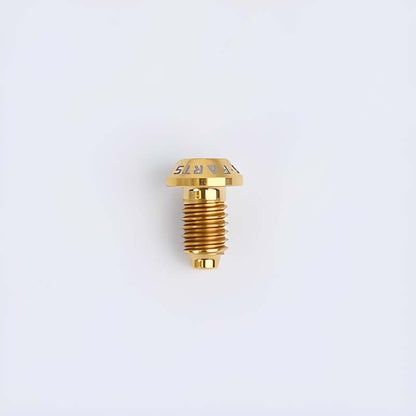 M6x10mm Magura MT4/5/7/8 Mountain Bike Titanium Oil Plug Bolts