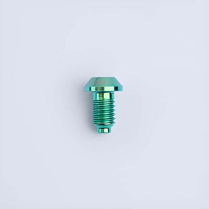 M6x10mm Magura MT4/5/7/8 Mountain Bike Titanium Oil Plug Bolts