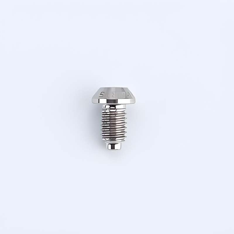M6x10mm Magura MT4/5/7/8 Mountain Bike Titanium Oil Plug Bolts