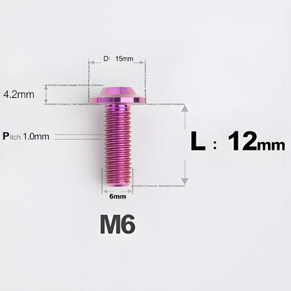 M5/M6x12mm Titanium Disc Bolts for ARAI RAPIDE-NEO Helmet Series