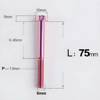 M6 X 8-120MM Titanium Bolts For Electric Motorcycle