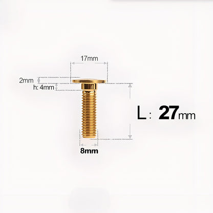 M8*27mm Titanium Front Disc Brake Bolts for BMW GS1200/1250 (Upgrade Parts)