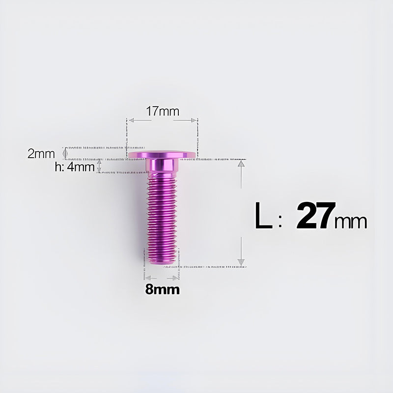 M8*27mm Titanium Front Disc Brake Bolts for BMW GS1200/1250 (Upgrade Parts)