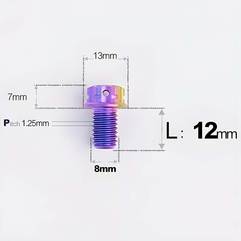 M8x10-120mm T40 Torx Titanium Bolts for Motorcycle