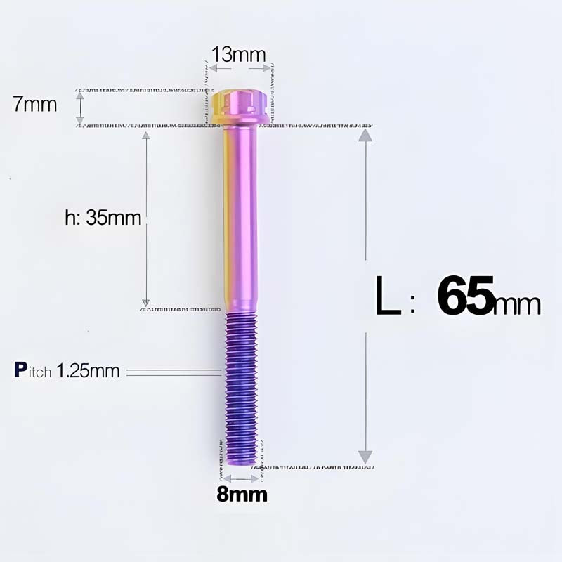 M8x10-120mm T40 Torx Titanium Bolts for Motorcycle