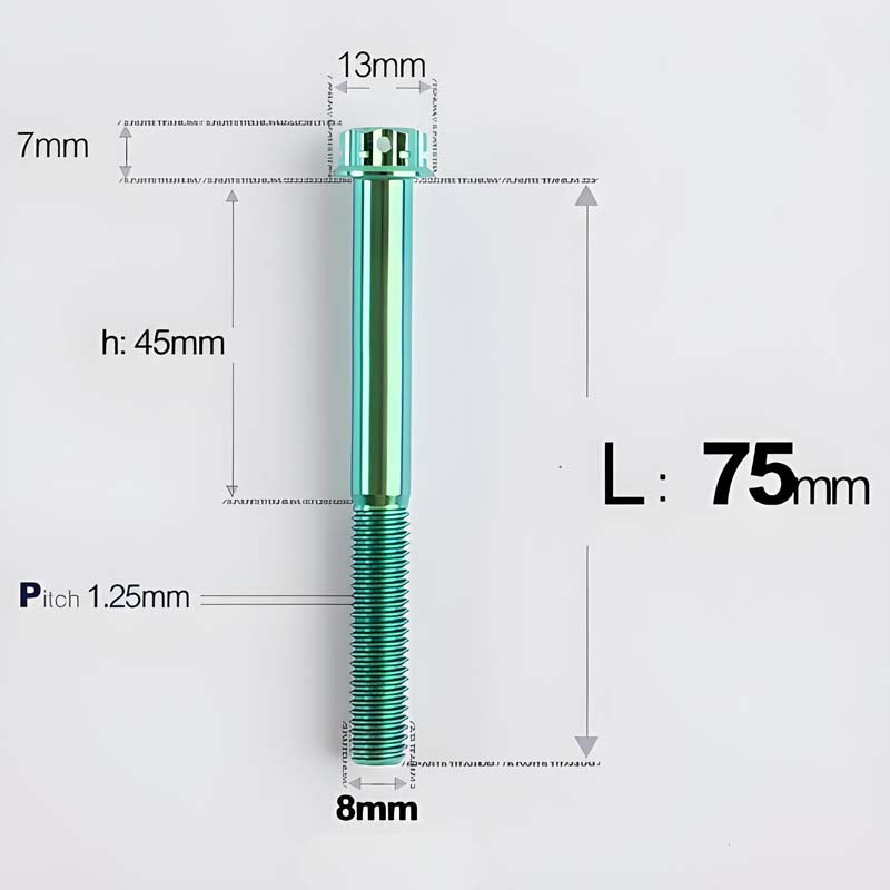 M8x10-120mm T40 Torx Titanium Bolts for Motorcycle