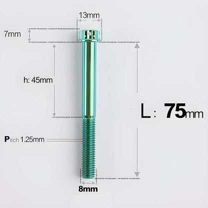 M8x10-120mm T40 Torx Titanium Bolts for Motorcycle