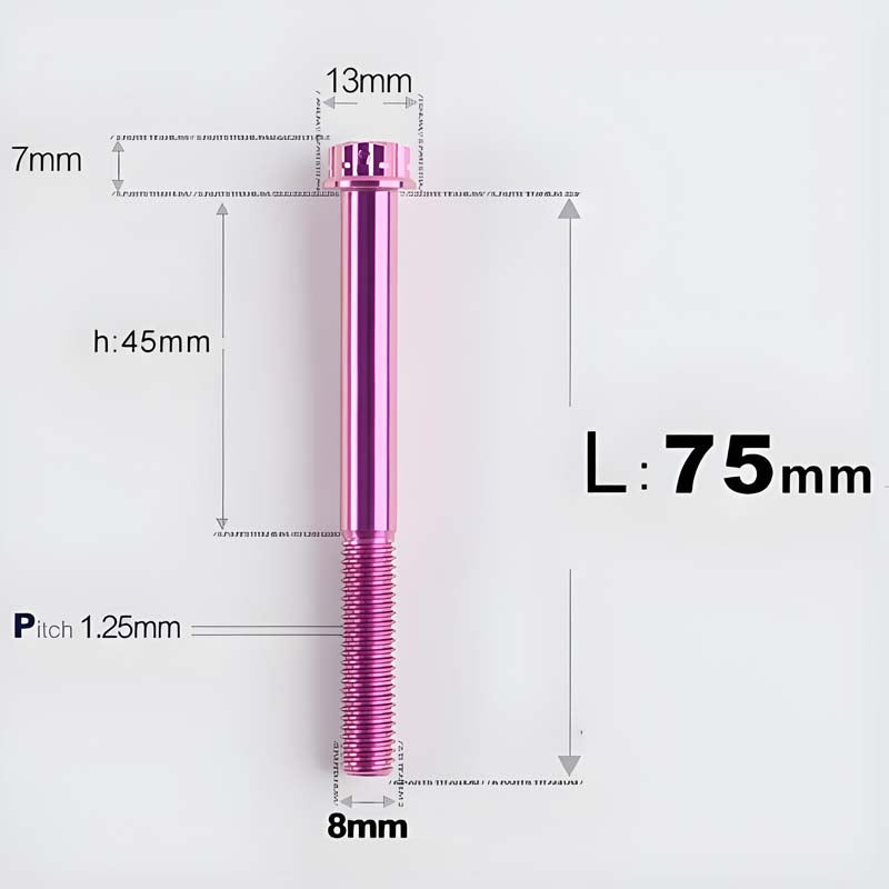 M8x10-120mm T40 Torx Titanium Bolts for Motorcycle