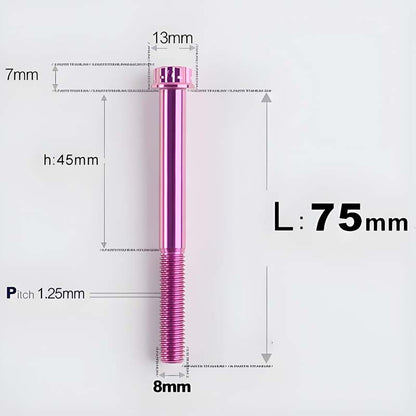 M8x10-120mm T40 Torx Titanium Bolts for Motorcycle
