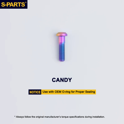 Titanium Caliper Body Bolt Type B M6x22.5mm for Shimano Ultegra R8170 / R8070 / R8020 & TRP DHR EVO Disc Brakes