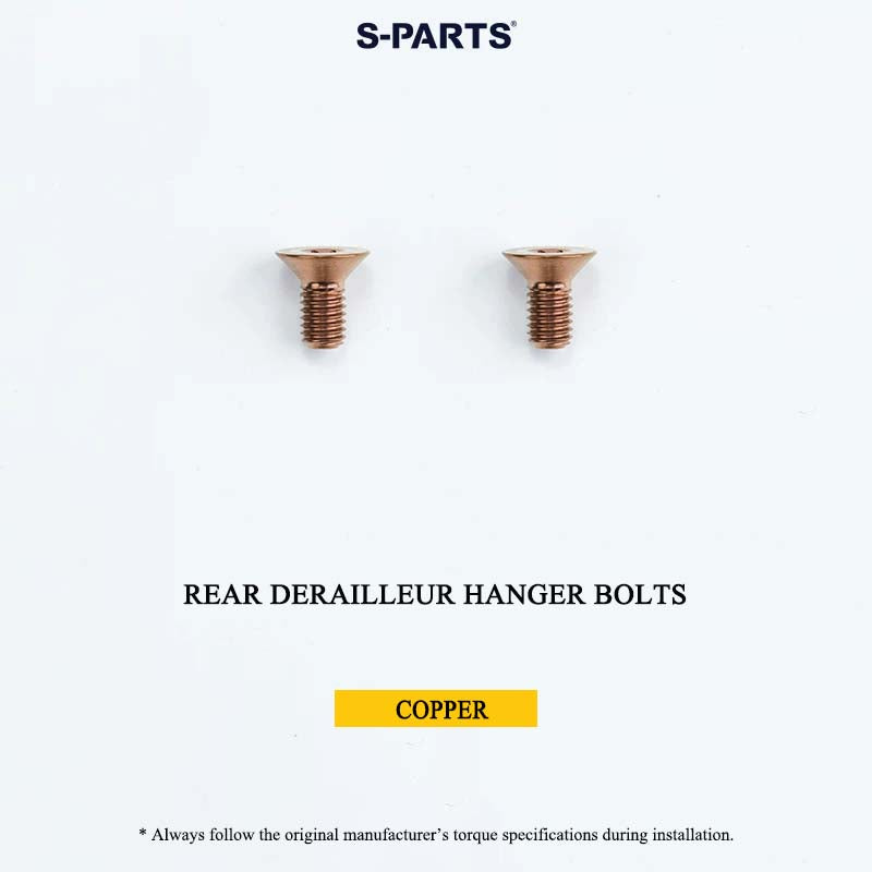 ACE D10 Folding Bike Titanium Bolts | Grade 5 Ti-6Al-4V | 18 Lightweight Options