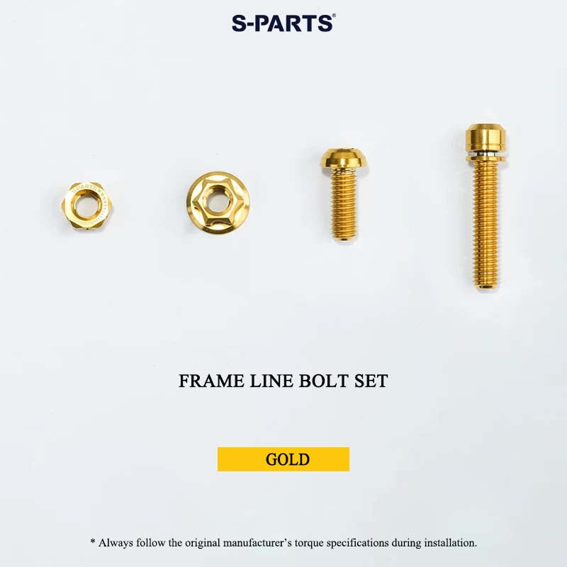 Grade 5 Titanium Bolts for DAHON P10 Folding Bike | CNC-Machined