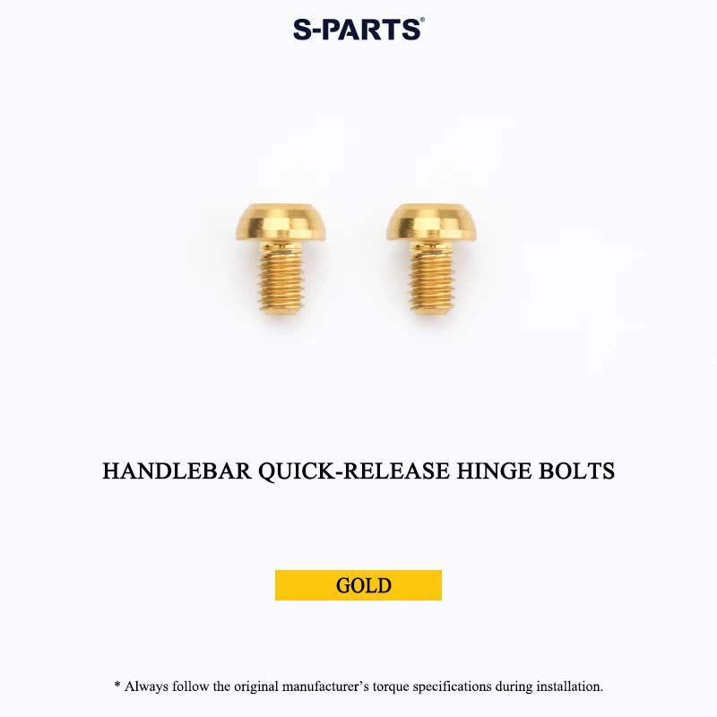 Grade 5 Titanium Bolts for DAHON P10 Folding Bike | CNC-Machined