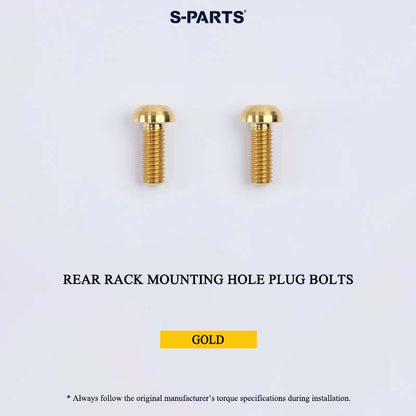 ACE D10 Folding Bike Titanium Bolts | Grade 5 Ti-6Al-4V | 18 Lightweight Options
