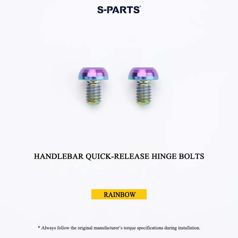 Grade 5 Titanium Bolts for DAHON P10 Folding Bike | CNC-Machined